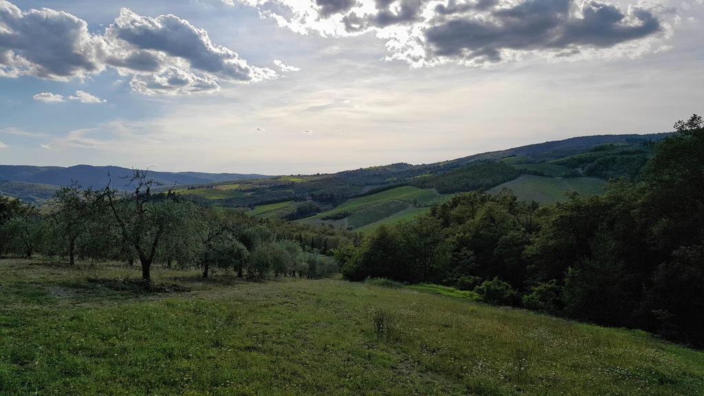 Holiday House Le Selvole Radda in Chianti Exterior foto
