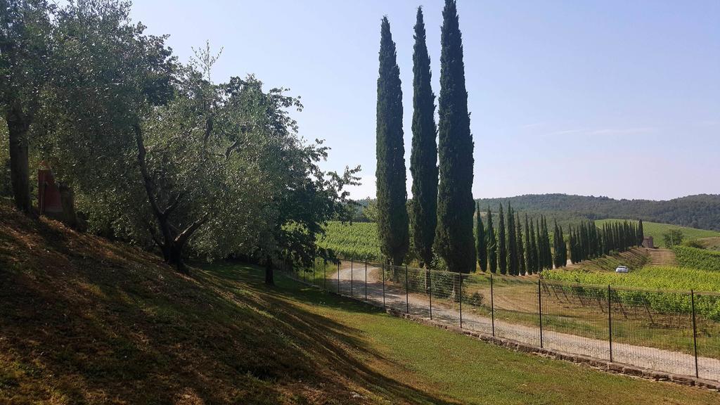 Holiday House Le Selvole Radda in Chianti Exterior foto