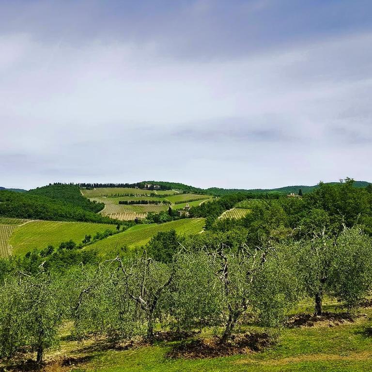 Holiday House Le Selvole Radda in Chianti Zimmer foto